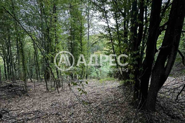 Земеделска земя, Троян, Лъгът, 670834, Снимка 7