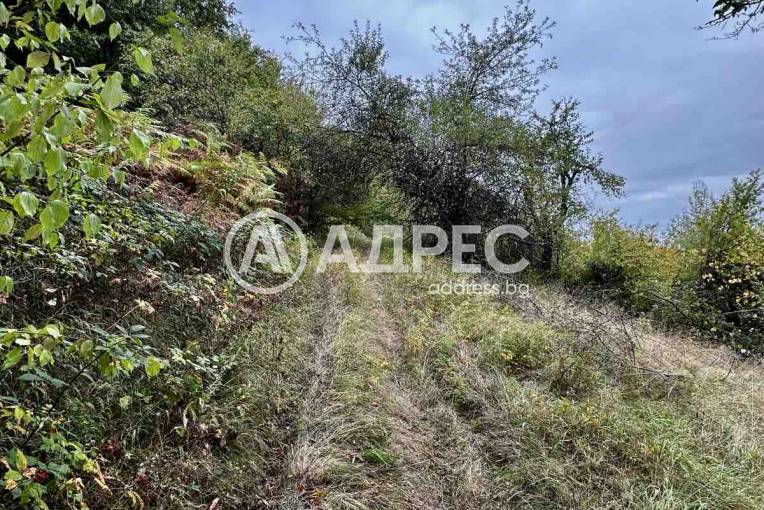 Земеделска земя, Троян, Лъгът, 670834, Снимка 8