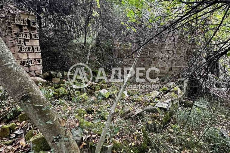 Земеделска земя, Троян, Лъгът, 670834, Снимка 9