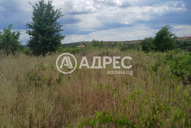 Парцел/Терен, Константиново, 659835, Снимка 4
