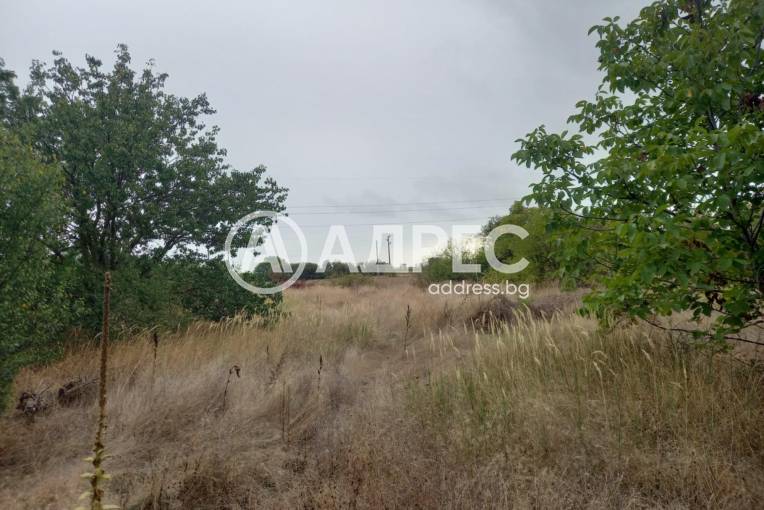 Парцел/Терен, Царичино, 667837, Снимка 1