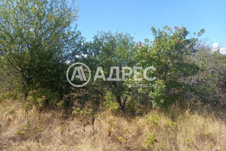 Парцел/Терен, Кранево, 665839, Снимка 2