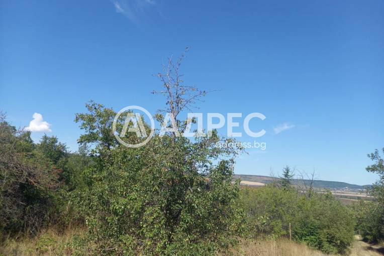 Парцел/Терен, Кранево, 665839, Снимка 3