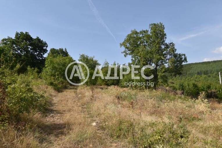 Парцел/Терен, Стара Загора, Дъбрава, 559842, Снимка 2