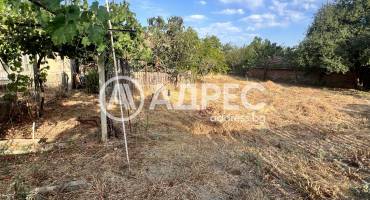 Къща/Вила, Гюльовца, 664842, Снимка 17