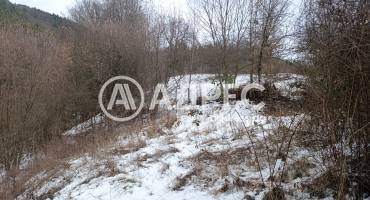 Парцел/Терен, Дунево, 687849, Снимка 3