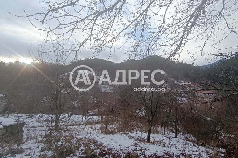 Парцел/Терен, Дунево, 687849, Снимка 2