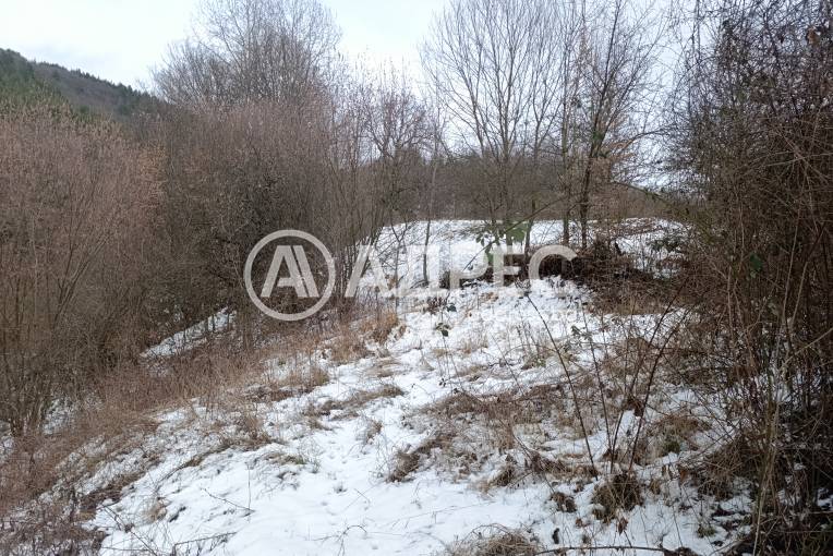 Парцел/Терен, Дунево, 687849, Снимка 3