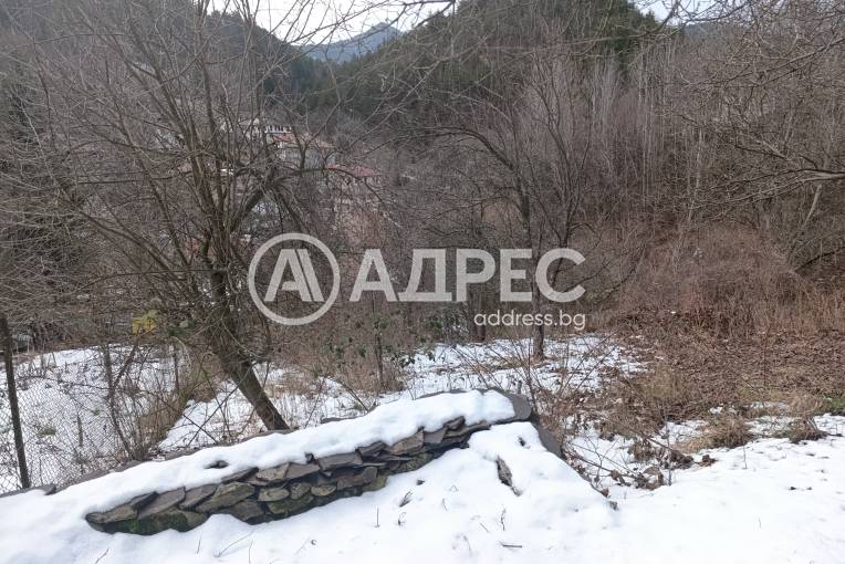 Парцел/Терен, Дунево, 687849, Снимка 4