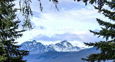 Хотел/Мотел, Априлци, Острец, 642850, Снимка 4