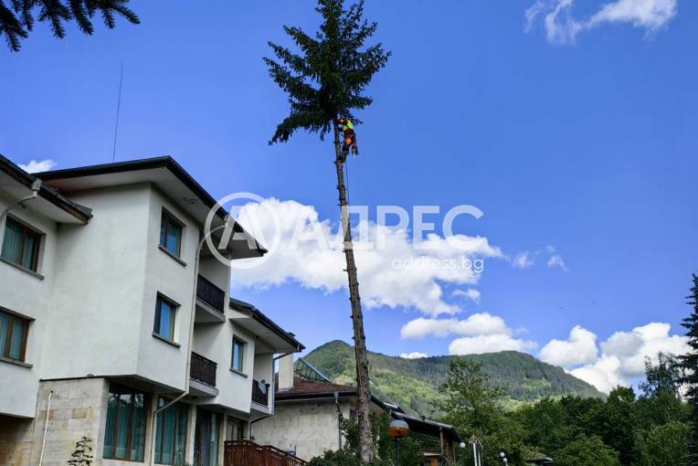 Хотел/Мотел, Априлци, Острец, 642850, Снимка 11