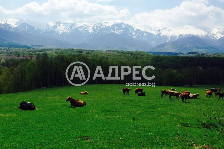 Парцел/Терен, Априлци, Ново село - Център, 684854, Снимка 1