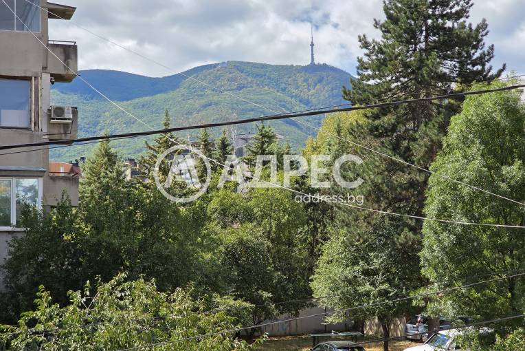 Многостаен апартамент, София, Павлово, 701861, Снимка 6