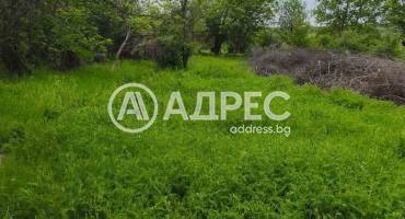 Парцел/Терен, Баница, 666863, Снимка 2