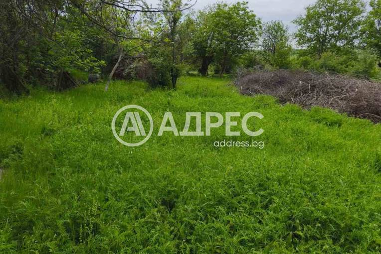 Парцел/Терен, Баница, 666863, Снимка 2