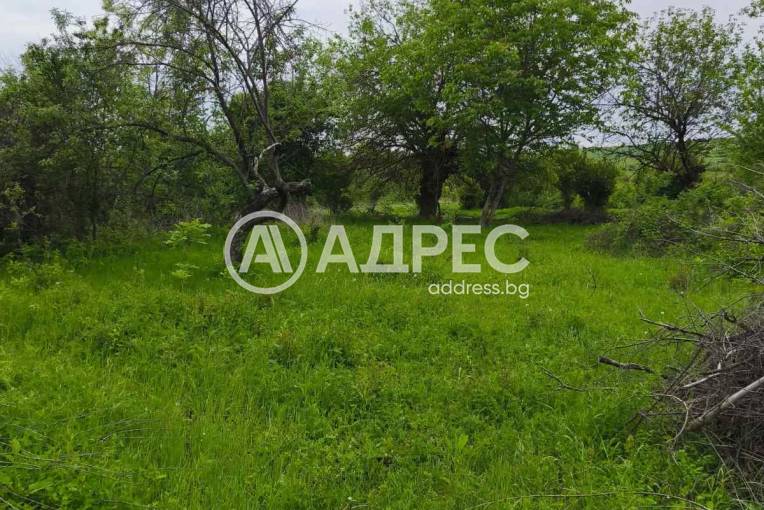 Парцел/Терен, Баница, 666863, Снимка 5