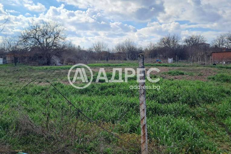 Парцел/Терен, Цалапица, 685870, Снимка 1