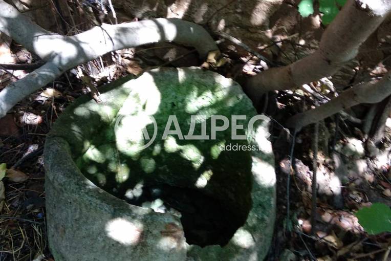 Парцел/Терен, Славяново, 630872, Снимка 4