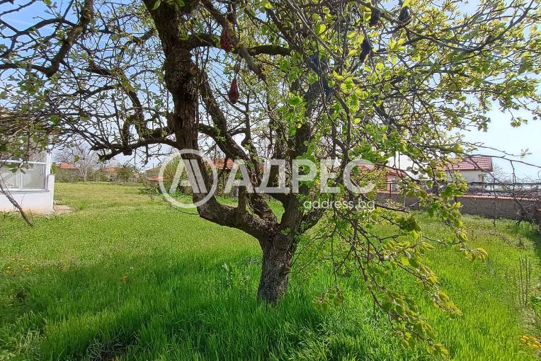 Къща/Вила, Тенево, 652887, Снимка 29