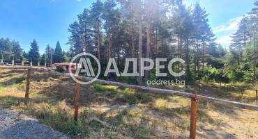 Парцел/Терен, Ярема, 675887, Снимка 2