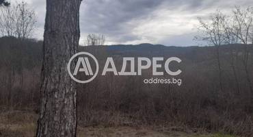 Къща/Вила, Цацаровци, 684889, Снимка 5