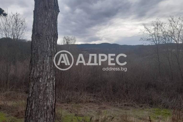 Къща/Вила, Цацаровци, 684889, Снимка 5