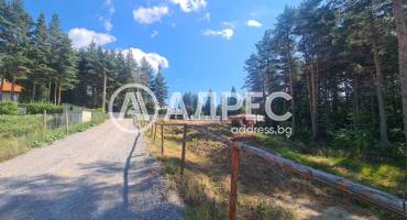 Парцел/Терен, Ярема, 675890, Снимка 1