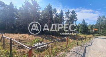 Парцел/Терен, Ярема, 675890, Снимка 3