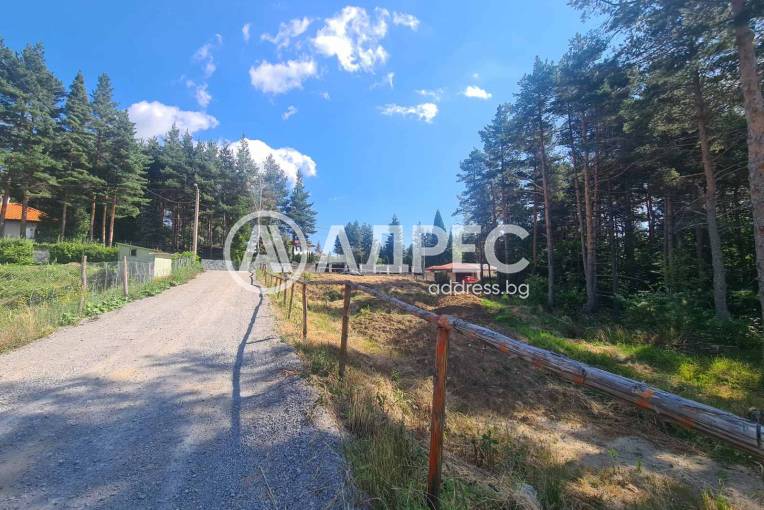 Парцел/Терен, Ярема, 675890, Снимка 1