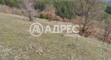 Земеделска земя, Горно Хърсово, 689890, Снимка 1