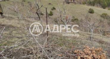 Земеделска земя, Горно Хърсово, 689890, Снимка 3