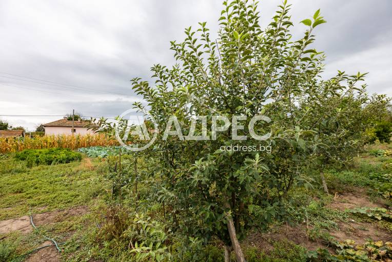 Къща/Вила, Генерал Киселово, 667895, Снимка 15