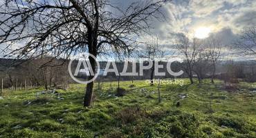 Парцел/Терен, Станец, 679895, Снимка 5