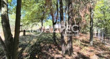 Парцел/Терен, Войнеговци, 665896, Снимка 2