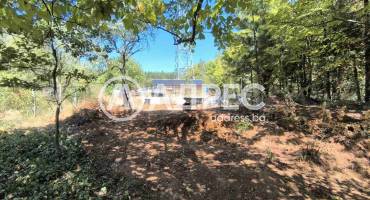 Парцел/Терен, Войнеговци, 665896, Снимка 4