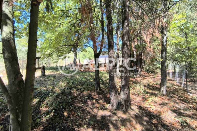 Парцел/Терен, Войнеговци, 665896, Снимка 2