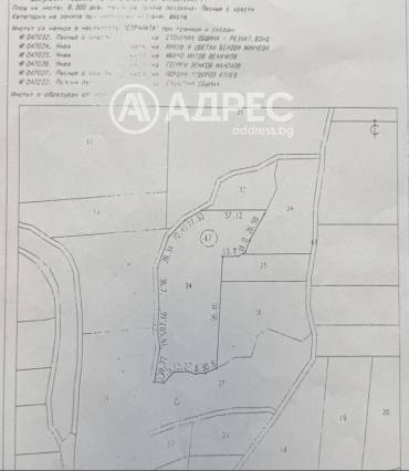 Земеделска земя, Иваняне, 680903, Снимка 1