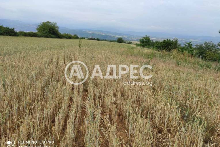 Земеделска земя, Благоевград, Баларбаши, 550905, Снимка 1