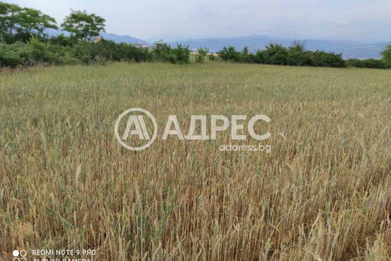 Земеделска земя, Благоевград, Баларбаши, 550905, Снимка 2