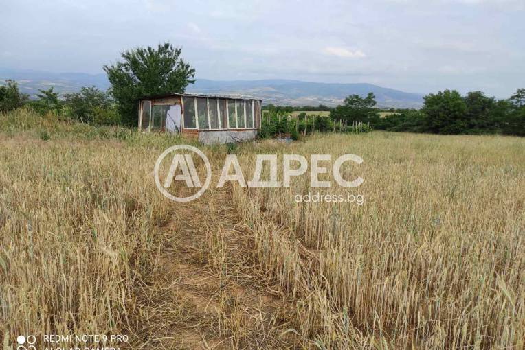 Земеделска земя, Благоевград, Баларбаши, 550905, Снимка 3