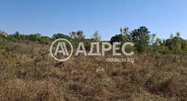 Парцел/Терен, Близнаци, Кур Тесе, 664910, Снимка 2