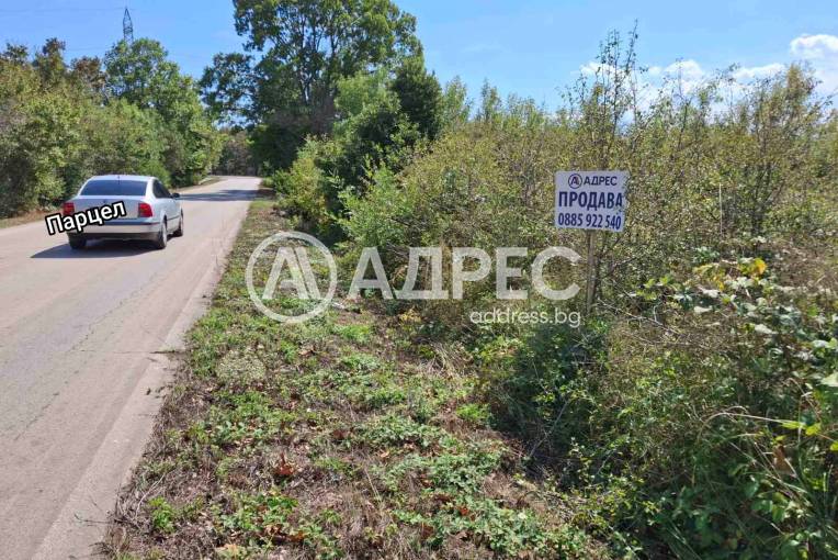 Парцел/Терен, Близнаци, Кур Тесе, 664910, Снимка 1