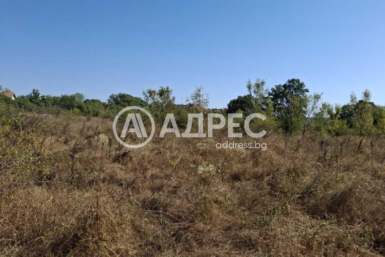 Парцел/Терен, Близнаци, Кур Тесе, 664910, Снимка 2