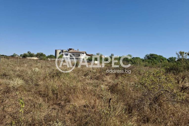 Парцел/Терен, Близнаци, Кур Тесе, 664910, Снимка 3