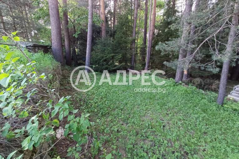 Парцел/Терен, Гълъбово, 652916, Снимка 3