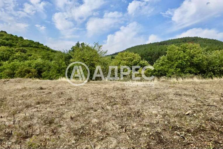 Парцел/Терен, Борилово, 449927, Снимка 4