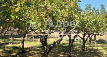 Магазин, Синитово, 570935, Снимка 7