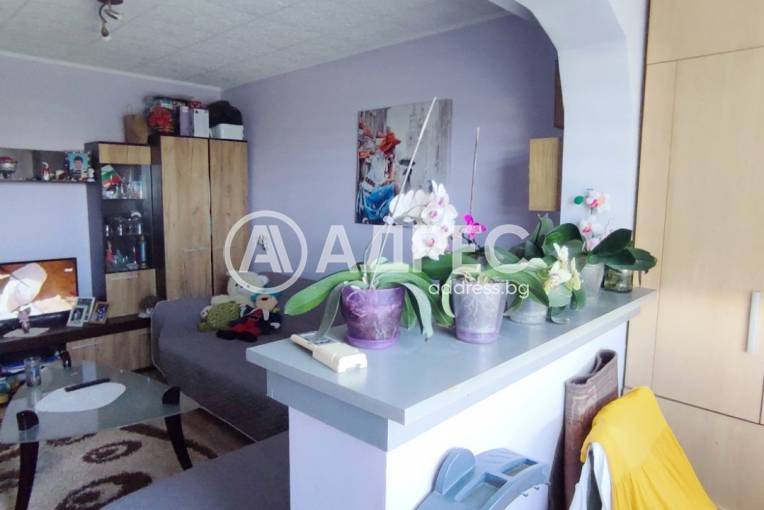 Гарсониера, Шумен, Тракия, 659946, Снимка 3