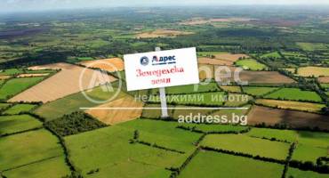 Земеделска земя, Търнава, 618960, Снимка 1