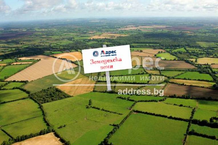 Земеделска земя, Търнава, 618960, Снимка 1